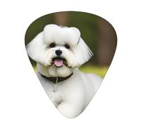 Juego de 12 púas para ukelele, bajo, guitarra eléctrica y acústica, ideal para guitarristas, lindo perro bichón frise