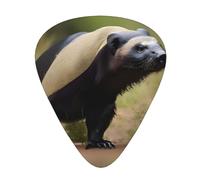 Juego de 12 púas para ukelele, bajo, guitarra eléctrica y acústica, ideal para guitarristas, lindo tejón de miel