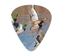 Juego de 12 púas para ukelele, bajo, guitarra eléctrica y acústica, ideal para guitarristas, patos Mallard