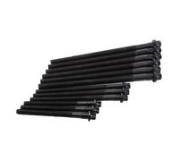 Juego de 12 tornillos de culata para BMW Z4 E85 Roadster 4 cilindros gasolina...