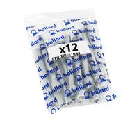 Juego de 12 tornillos hexagonales P2R M8 x 10 mm