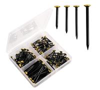 Juego de 120 clavos para cuadro (20/25/30/40 mm), clavos de acero inoxidable con cabeza dorada para hormigón, ladrillo y madera, con práctica caja de 4 compartimentos (kit)