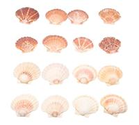 Juego de 16 conchas, 2 tipos, 10-12 cm, conchas para pintar para niños, vieiras, conchas decorativas naturales, para manualidades, bodas, decoración de playa, fiestas, tanques de pescado, manualidades