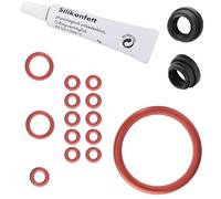 Juego de 16 Juntas tóricas cafeteras para Saeco, Philips y Gaggia | Kit de mantenimiento para depósito de agua grupo de infusión válvula de soporta, EP HD SM RI incl. 6 g de grasa de silicona