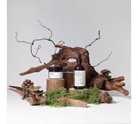 Juego de 17 Piezas de diseño Original de Madera Natural de Bosque para fotografía de Productos, Madera hundida Natural, piñas secas, decoración de Paisaje, Accesorios para sesión de Fotos