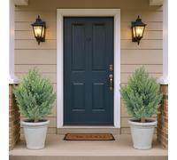 Juego de 2 árboles de bolas de cedro artificiales, 66 cm, ciprés artificial, con estaca, resistente a los rayos UV, árbol artificial de hoja perenne, planta de ciprés para interior, exterior, porche