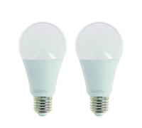 Juego de 2 bombillas LED A67 con casquillo E27