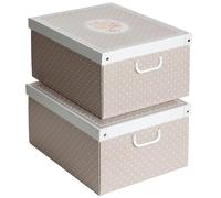Juego de 2 cajas de cartón para armario, con tapa, para cambio de estación, regalo