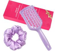Juego de 2 cepillos para desenredar el cabello con ventilación y coleteros, juego de accesorios para mujeres y niñas