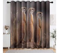 Juego de 2 cortinas opacas para decoración del hogar, desierto Animales Mangosta Amarillo Cortina Térmica con Ojales para Niña y Niño, 140 x 260 cm
