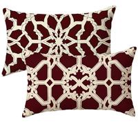Juego de 2 Funda Cojin 60x90 Terciopelo Abstracción Funda de Almohada, Vino Tinto Fundas de Cojines 60x90, Cojines para Sofa 2 Piezas, Fundas Cojin Rectangular, para Interior y Exteriores k-154