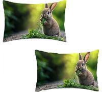 Juego de 2 Funda de Cojín Lino 50x70cm Conejo Moderna Decoración del Hogar Fundas para Cojines Rectangular Impermeables Funda de Cojines Lumbar Almohada Patio Jardín Decorativas Campos I0P-180
