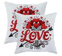 Juego de 2 fundas de almohada con diseño de corazones, románticas bordadas, con punta de flecha, amor de San Valentín, terciopelo suave, lavable, fundas de almohada decorativas para el hogar, sala de
