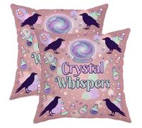 Juego de 2 fundas de almohada de bola de cristal, botellas de poción de cuervo místico de Halloween, melocotón, terciopelo suave, lavable, fundas de almohada cuadradas para el hogar, sala de estar