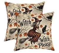 Juego de 2 fundas de almohada de bruja, diseño vintage de escoba de gato para Halloween, naranja, terciopelo suave, lavable, para sala de estar, dormitorio, loft, oficina, decoración de automóvil, 12