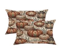 Juego de 2 fundas de almohada de calabazas, estilo vintage, rústico, floral, otoño, naranja, terciopelo suave, lavable, fundas decorativas para sala de estar, apartamento, cama, sofá, decoración de 20