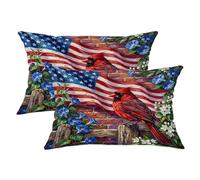 Juego de 2 fundas de almohada de cardenal, bandera patriótica rústica, gloria de la mañana, día de la independencia, color rojo, con cremallera oculta, fundas de almohada para el hogar, sala de estar