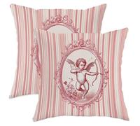 Juego de 2 fundas de almohada de querubín romántico, vintage, marco floral rojo de San Valentín, terciopelo suave, lavables, fundas de almohada para sala de estar, cama, oficina, sofá, silla