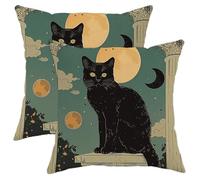 Juego de 2 fundas de almohada vintage con diseño de gato negro con diseño de animales, nube, tarot griego, luna, retro, bruja, verde azulado, terciopelo suave, cremallera, para interiores y exteriores