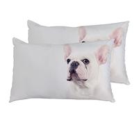 Juego De 2 Fundas De Cojín Adorable Bulldog Frances Cuadrado Cubierta De Almohada Decoración Modernas Funda De Almohada Cuadrada, para Oficina, Regalos, 40X60Cm