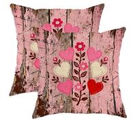 Juego de 2 fundas de cojín con diseño de corazones, flores rústicas vintage, hojas de San Valentín, melocotón, terciopelo suave, lavables, fundas de cojín para sala de estar, cama, oficina, sofá