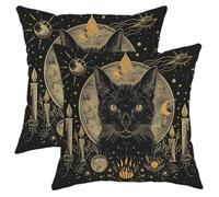 Juego de 2 fundas de cojín con diseño de gato de brujería, luna, sol, estrellas, animales, vela, celestial, medieval, tarot, bruja, negro, terciopelo suave, cremallera, interior, oficina, silla