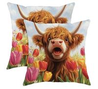Juego de 2 fundas de cojín con diseño de vaca de las tierras altas, color naranja, para primavera, exteriores, hogar, sofá, 50,8 x 50,8 cm