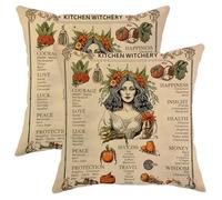 Juego de 2 fundas de cojín de bruja con póster de metal para cocina, vintage, divertidas, calabaza, rosa, amarillo claro, naranja, terciopelo, cómodas, decorativas, para sofá, apartamento, fundas de