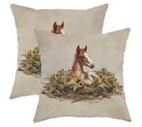 Juego de 2 fundas de cojín de caballo de primavera, fundas de cojín rústicas de potro marrón, almohadas decorativas de granja para el hogar, sofá, cama, sofá, 16 x 16 pulgadas