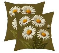 Juego de 2 fundas de cojín de crisantemo, diseño botánico vintage de helecho, color blanco, de terciopelo suave, lavable, para decoración del hogar, sala de estar, dormitorio, sofá, 18 x 18 pulgadas