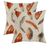 Juego de 2 fundas de cojín de plumas rústicas con estampado de plumas naranjas, cuadradas, decoración de casa de campo para el hogar, sofá, 16 x 16 pulgadas