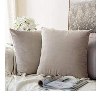 Juego de 2 Fundas de cojín de terciopelo decorativas protectores decoración sofá funda de almohada decoración súper suave para el hogar sala de estar dormitorio sofá -Los 45 * 45cm_Champaña Violeta_