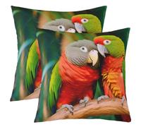 Juego De 2 Fundas De Cojín para Sofá Linda Funda De Almohada Suave Fundas Cojines para Patio Jardín 45X45Cm Pareja De Loros Divertidos, Loro, Pájaro, Colorido, Pluma, Salvaje, Lluvia,