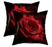 Juego de 2 fundas de cojín románticas y elegantes con diseño de pétalos de gotas de agua, de terciopelo suave, lavable, para sala de estar, cama, oficina, sofá, silla, 22 x 22 pulgadas