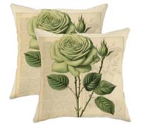 Juego de 2 fundas de cojín vintage de flores naturales, página de libro de historia natural, verde, rosa, francés, marrón, acogedor, terciopelo, lavable, interior, sala de estar, sofá, cama