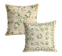 Juego de 2 Fundas de Cojines 50x50cm, Crema abstracto Funda de Almohada del Sofá Decorativas in Terciopelo, Doux respirant, Fundas Cojines Sofa Cuadrada, para Interior Hogar Decorativas Regalo t9n-233