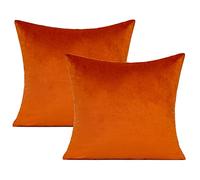 Juego de 2 Fundas Decorativas de Almohada y cojín, cuadradas, 40 x 40 cm, Terciopelo Naranja Tostado, otoñales, para Exterior, decoración de Porche, Patio, sofá