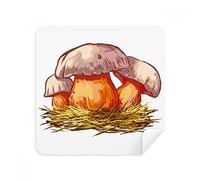 Juego de 2 gafas de limpieza con diseño de seta azul delicado, gamuza limpiadora de pantalla de gamuza