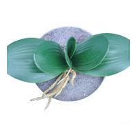 Juego de 2 hojas artificiales de orquídea Phalaenopsis de poliuretano, follaje verde realista para decoración botánica, centros de mesa de boda, manualidades, fotografía, ligeras, resistentes a la