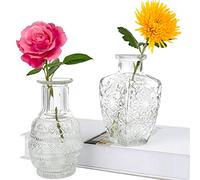 Juego de 2 jarrones de Vidrio a Granel, diseño Vintage de Flores para arreglos Florales, decoración del hogar, Centro de Mesa de Boda, Centro de Mesa Decorativo, Comedor (Juego de 2)