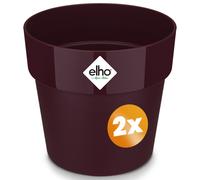 Juego de 2 macetas morera 16x15cm 2L