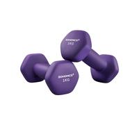 SONGMICS SYL902P02 - Pesas, 2 x 1 kg, con forma de mancuernas, hexagonales, revestimiento de neopreno, para entrenamiento de fuerza, fitness, para el hogar, púrpura ceniza SYL902P02