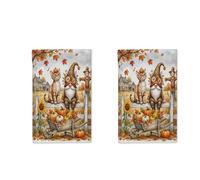 Juego de 2 paños de cocina de otoño Devon Rex Cat para cocina, diseño de cosecha de granja de gnomos otoñales, paños de cocina de secado rápido, regalo de inauguración de la casa para cocinar, cocina