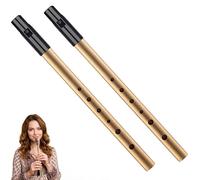 Juego de 2 silbatos de estaño, silbatos de centavo, silbato de lata con llave D y C con flauta deslizante, instrumento de metal de seis agujeros para principiantes, juego de música folclórica celta
