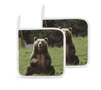 Juego de 2 soportes para ollas Hi Bear para sentarse en el césped, almohadillas calientes para horno con trabillas para colgar, agarraderas resistentes para horno, almohadillas calientes para cocina