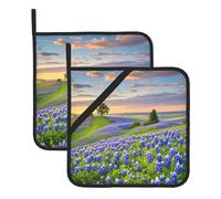 Juego de 2 soportes para ollas resistentes al calor Texas Bluebonnets Scenery Oven Hot Pads lavables para cocina, salvamanteles cuadrados con trabillas para colgar, alfombrillas calientes para hornear