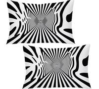 Juego de 2 Terciopelo Funda de Cojine, 60x80cm Raya Funda de Almohada del Sofá, Algodon En Blanco Y Negro Fundas Cojines - Fundas Cojin para Cama - Protector de Almohada para Sofá Cama Hogar YF-2324