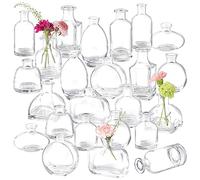 Juego de 24 jarrones de Vidrio a Granel, jarrones Transparentes para centros de Mesa, pequeños jarrones de Vidrio, floreros Vintage para decoración rústica de Bodas, decoración del hogar, arreglos