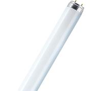 Juego De 25 Lámparas Fluorescentes 36W Blanco Frío 4000K 120cm Osram Lumilux