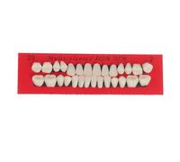 Juego de 28 dientes de resina realistas y realistas, dentaduras postizas universales, herramienta educativa de enseñanza, superficie lisa